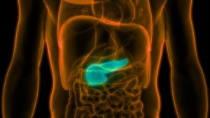 x-ray of a pancreas in the body